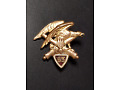 Odznaka 93 Pułku Artylerii Górskiej - Francja