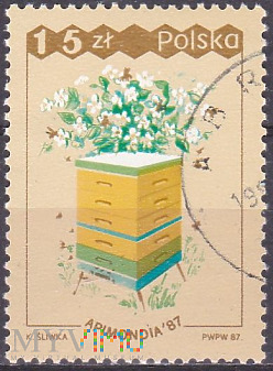 Box hive, orchard
