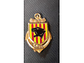 Odznaka 24 Pułku Piechoty Morskiej_Francja