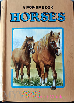 A Pop-up Book - Horses