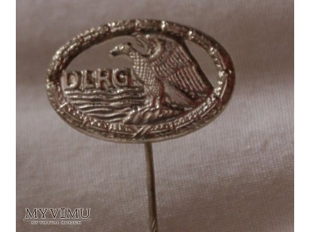 Duże zdjęcie Odznaka DRLG srebrna