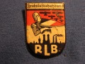RLB-odznaka org. p.lotniczej