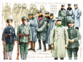 Wojsko i powstańcy 1918 - 1921