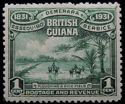 Gujana Brytyjska 1c