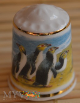 Duże zdjęcie Seria :ŚWIAT PINGWINÓW/ Pingwin żółtooki
