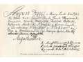 Dokument z podpisem króla Augusta III