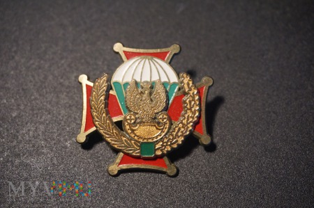 Odznaka Honorowa 10 Batalionu - 6BDSz