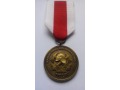 Medal jubileuszowy 100 Lat OSP w Mnisztwie