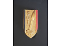 Odznaka 301 Grupy Artylerii - Francja