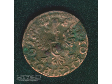 Duże zdjęcie szeląg koronny 1664 2