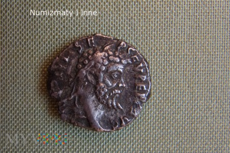 Duże zdjęcie denar Septymiusza Sewera