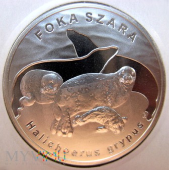 20 złotych 2007 r. Polska