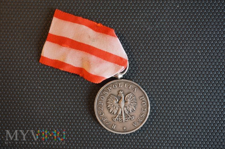 Duże zdjęcie Medal Za Ratowanie Ginących