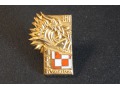 Pamiątkowa odznaka 70 Lecie 1 PLM - złota
