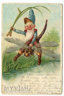Duże zdjęcie 1903 Krasnal ujeżdża ważkę Gnome vintage postcard