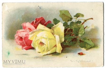 Catharina C. Klein piękne róże kwiaty Flowers