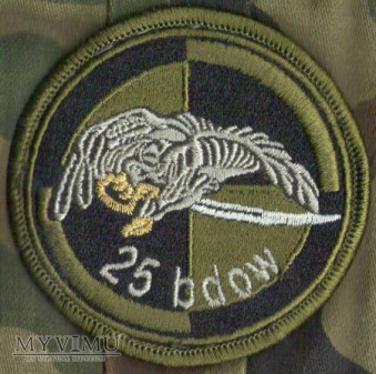 Emblemat polowy 25 batalion dowodzenia