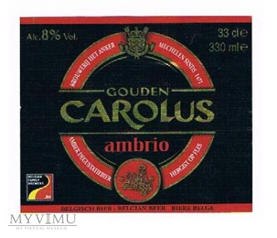 Duże zdjęcie gouden carolus ambrio
