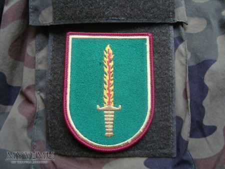 LITWA - Wojska Specjalne