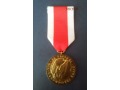 Złoty Medal Za zasługi dla obronności kraju