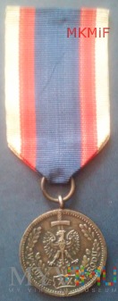 Duże zdjęcie Srebrna Odznaka W Służbie Narodu XX