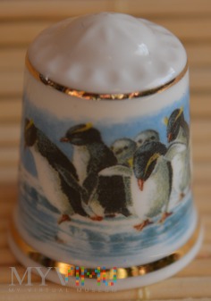 Duże zdjęcie Seria :ŚWIAT PINGWINÓW/ Pingwin skalny