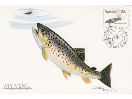Transkei 1983 - pocztówki