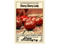 cherry cherry lady