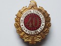 Odznaka Za Wysługę 40 Lat Jednoczęściowa Płaska