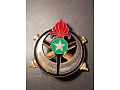 Odznaka Mobilnej Saharyjskiej Baterii Legionu