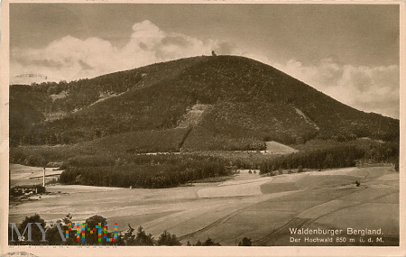 Waldenburger Bergland. Der Hochwald 850 m u.d.M.
