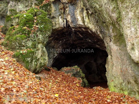Jaskinia Niedźwiedzia (Złoty Potok)