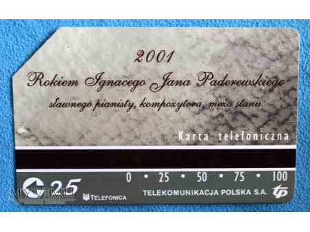 2001 Rokiem Ignacego Jana Paderewskiego