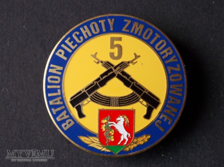 5 batalion piechoty zmotoryzowanej - 3 BZ