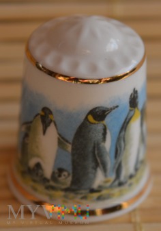 Duże zdjęcie Seria :ŚWIAT PINGWINÓW/ Pingwin królewski