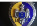 8 Kołobrzeska BZ - wersja próbna odznaki ?
