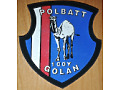 Polbatt 1 coy Golan UNDOF