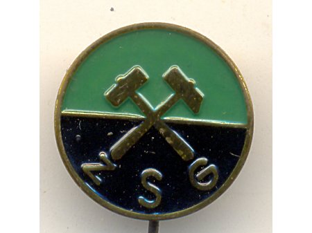 Duże zdjęcie ZSG -emblemat