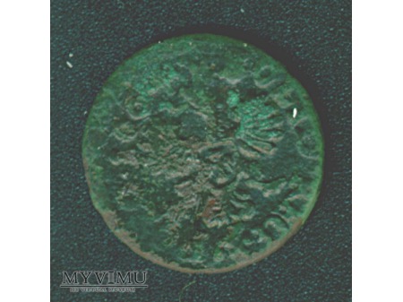 Duże zdjęcie szeląg koronny 1664 3