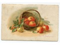 Catharina C. Klein jabłka w koszu owoce