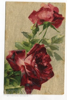 Duże zdjęcie Catharina C. Klein róże flowers Postcard
