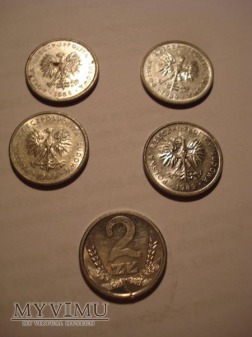 2 ZŁ (małe) "kłosy" zbiór 5 monet