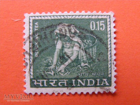 006. Indie
