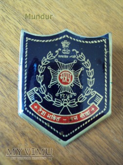 Duże zdjęcie Indyjska odznaka