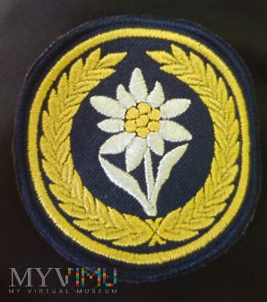 Odznaka dowództwa 21 Brygady strzelców podhalański