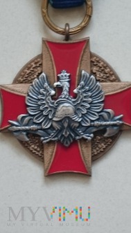 Odznaka Zasłużony dla Ochrony Ppoż. - brązowa