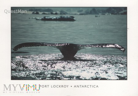 Port Lockroy