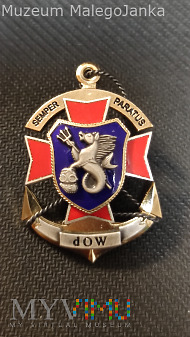 Pamiątkowa odznaka Dywizjon Okrętów Wsparcia Nr191