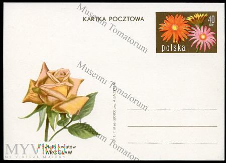 1966 - Święto kwiatów Wrocław