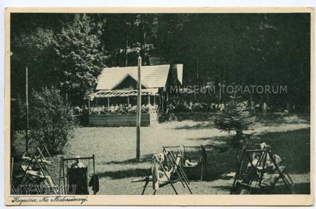 Duże zdjęcie Krynica - Na Michasiowej - 1920/39